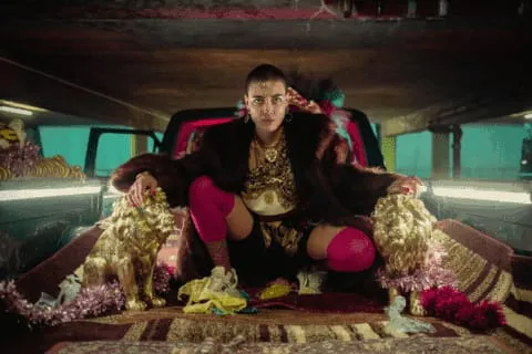 WhatsApp Image 2023-09-23 at 22.55.17