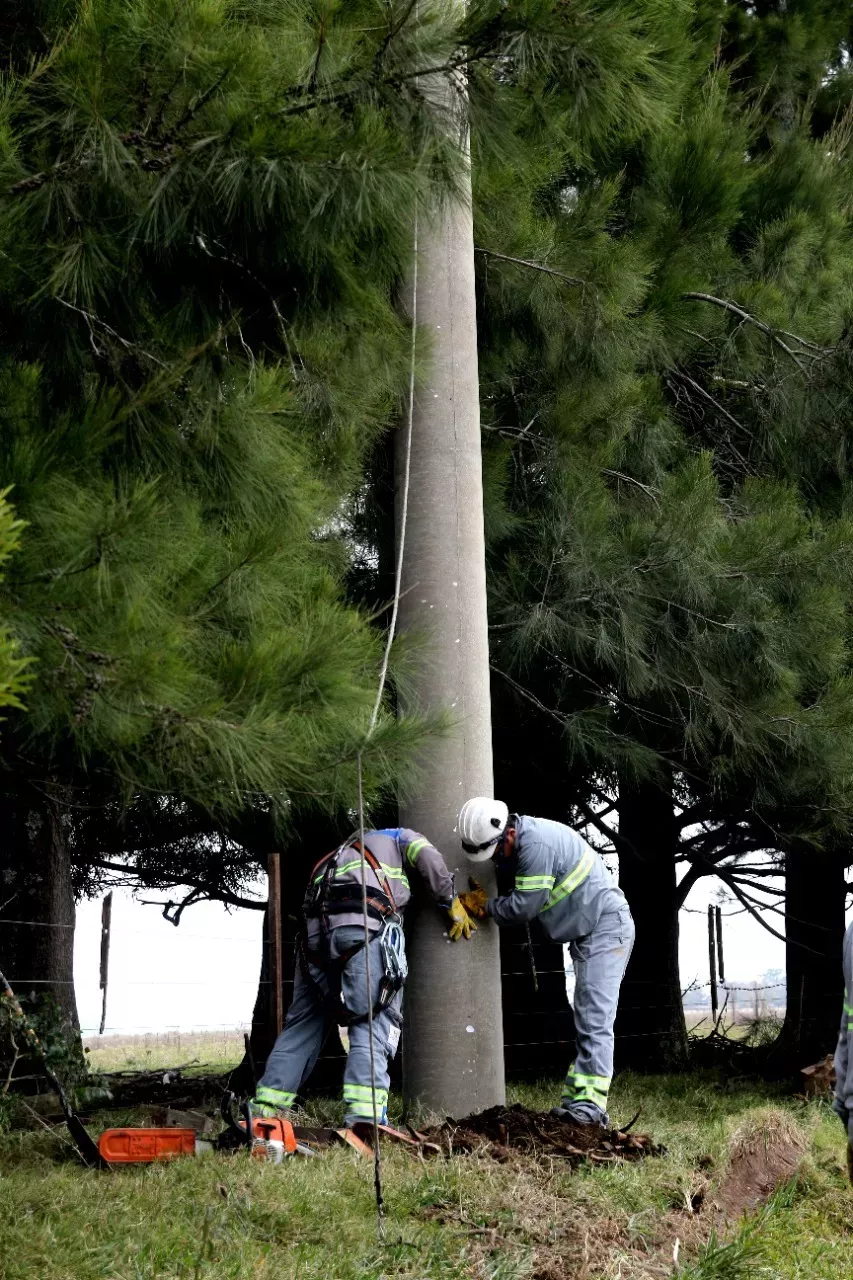 imagen_2022-07-05_150931472