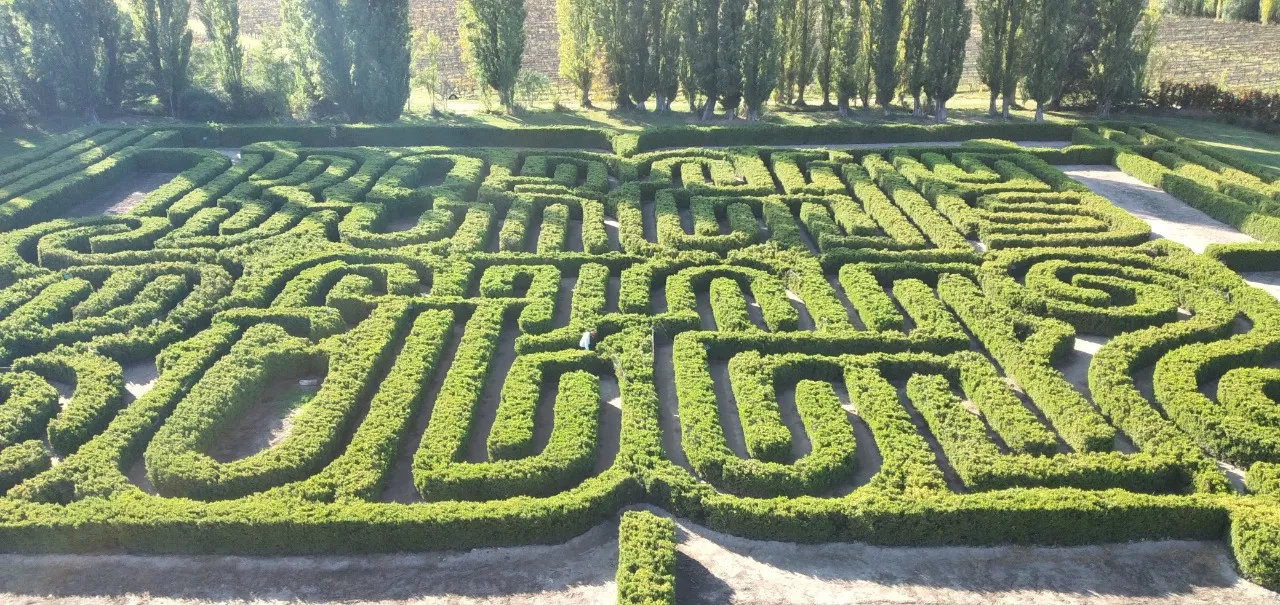 imagen_2022-04-06_183946