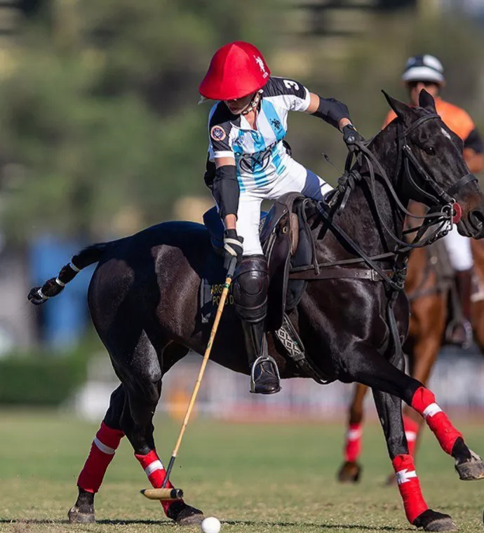 WhatsApp Image 2022-04-16 at 10.38.51 PM