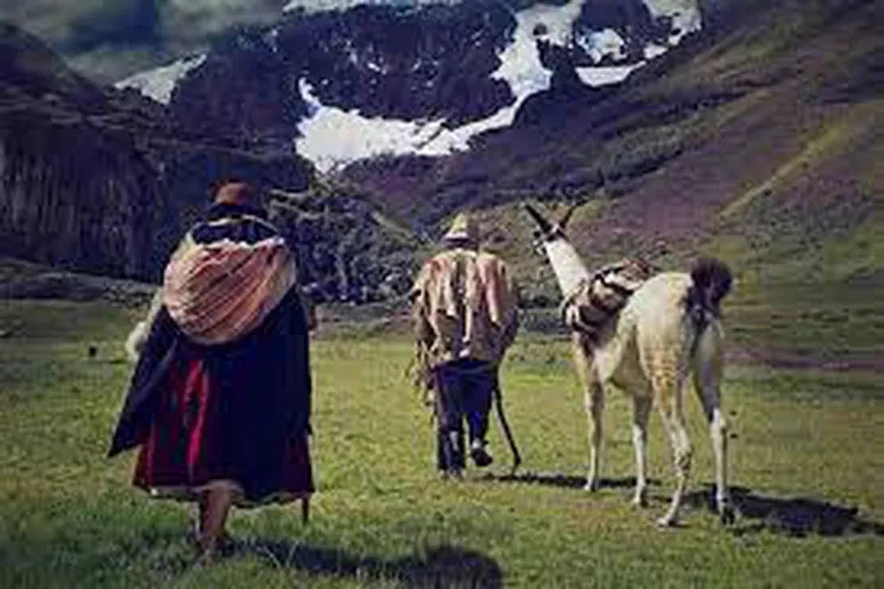 WhatsApp Image 2022-06-05 at 7.21.52 PM