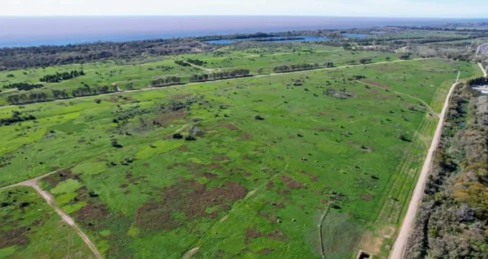 imagen_2023-06-06_140541676