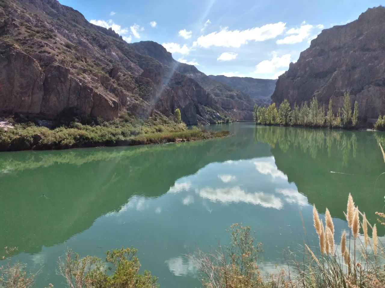 imagen_2022-04-06_183923