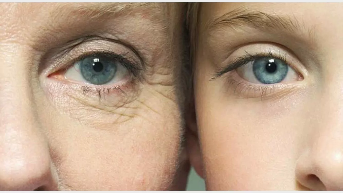 WhatsApp Image 2022-06-21 at 7.36.24 PM