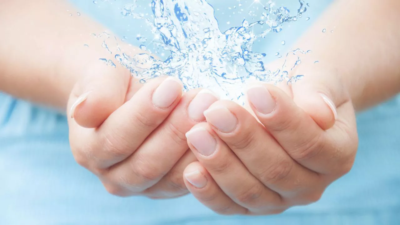 WhatsApp Image 2022-06-24 at 5.47.20 PM