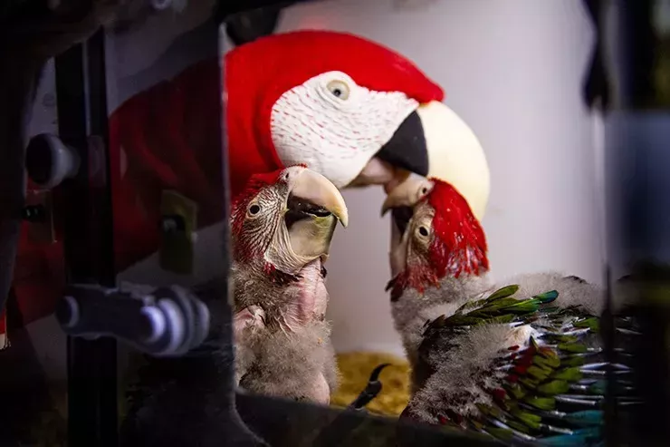 imagen_2023-01-25_180249789