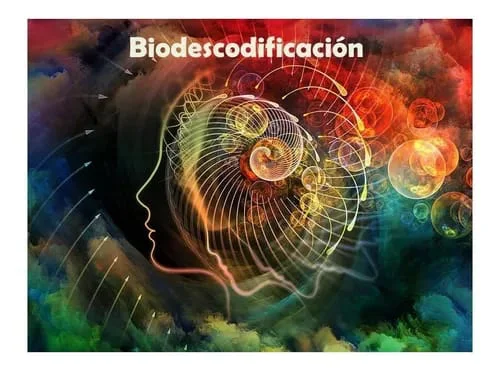 WhatsApp Image 2026-04-11 at 00.52.47