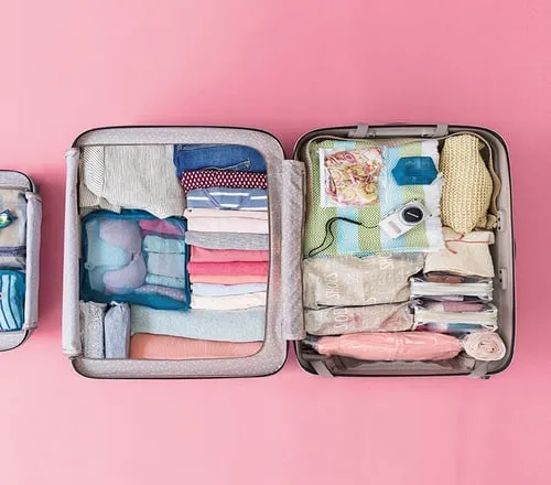 WhatsApp Image 2026-02-12 at 06.47.04