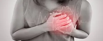 WhatsApp Image 2025-09-09 at 23.20.13