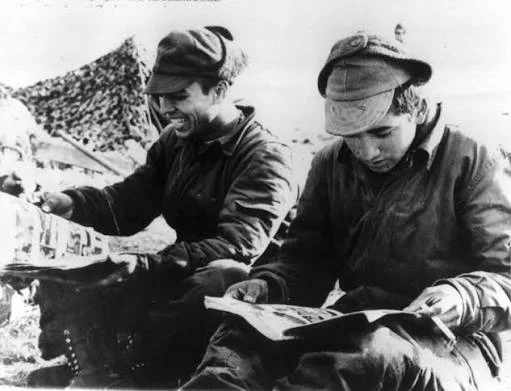 WhatsApp Image 2026-04-01 at 01.13.39