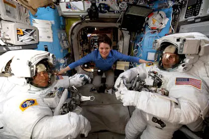 WhatsApp Image 2024-11-06 at 04.54.13