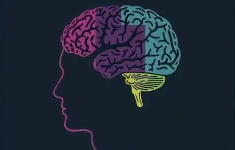 WhatsApp Image 2025-10-17 at 01.03.39