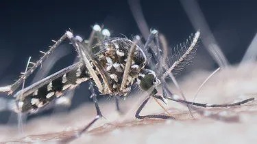 WhatsApp Image 2024-08-20 at 02.41.40