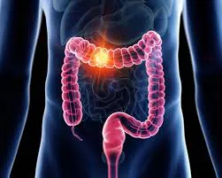 WhatsApp Image 2025-03-31 at 16.02.48