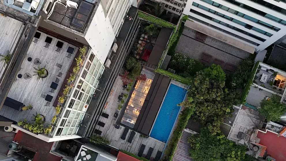 imagen_2024-10-17_092406449