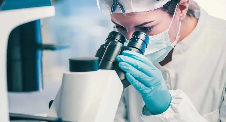 WhatsApp Image 2026-01-20 at 15.39.33