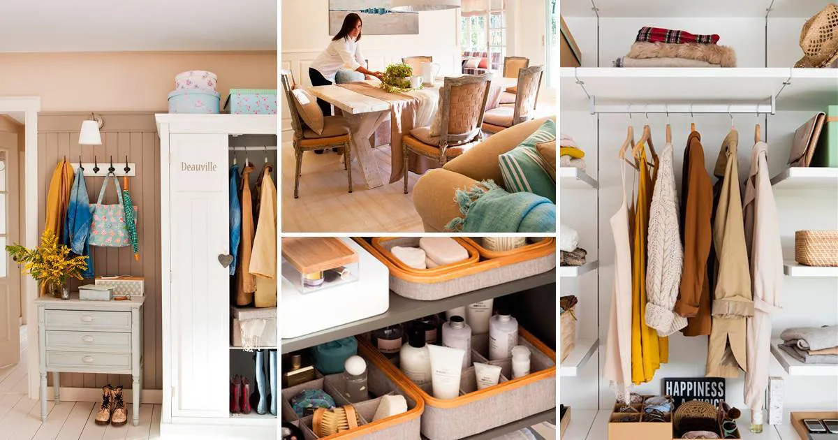 WhatsApp Image 2025-10-29 at 01.08.12