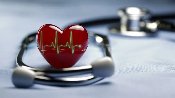 WhatsApp Image 2026-02-10 at 18.46.36