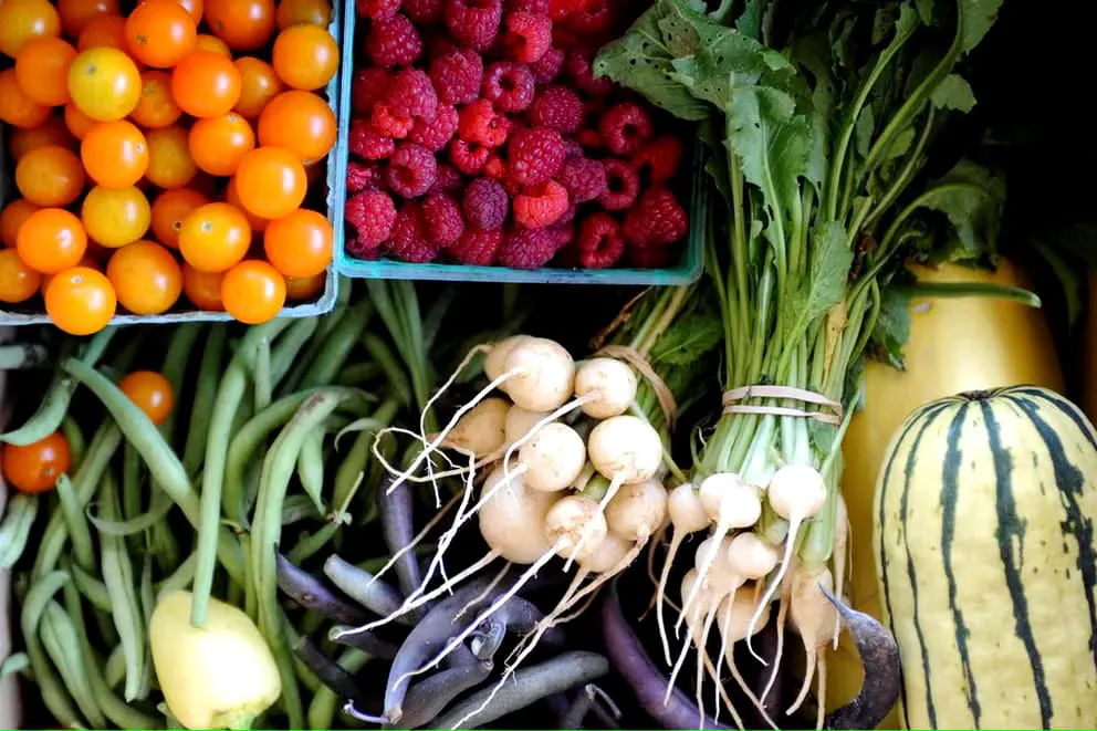 WhatsApp Image 2024-08-09 at 21.47.24