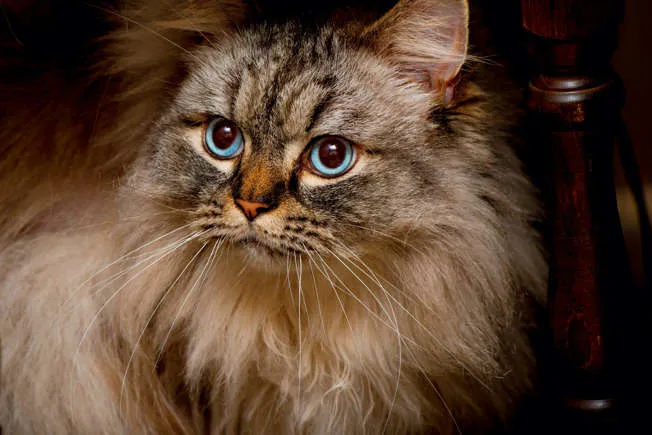 imagen_2024-05-21_162008850