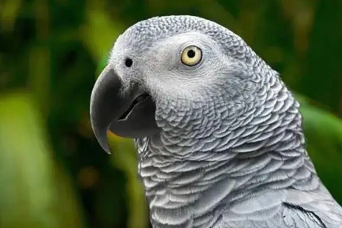 imagen_2025-08-24_233614485