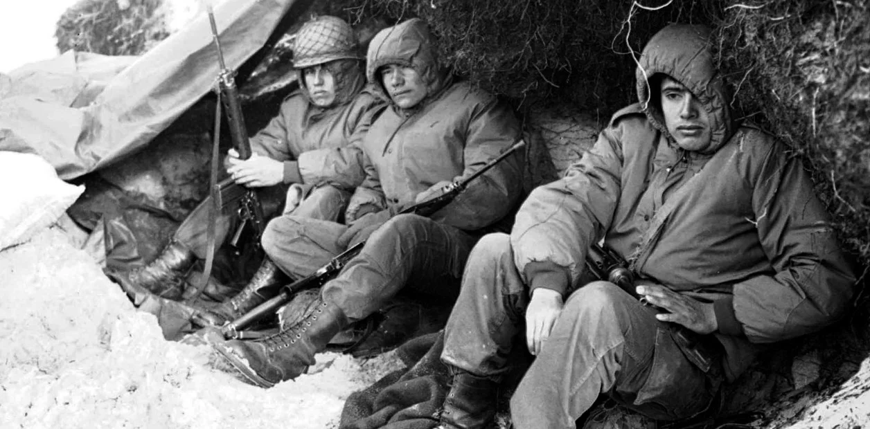 WhatsApp Image 2026-04-01 at 01.13.38