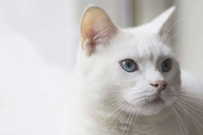 imagen_2024-05-21_162555838