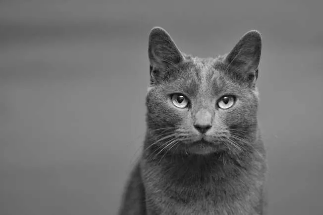 imagen_2024-05-21_161857628