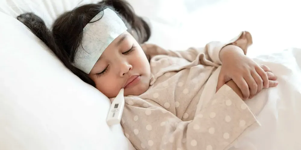 WhatsApp Image 2024-10-18 at 16.36.00