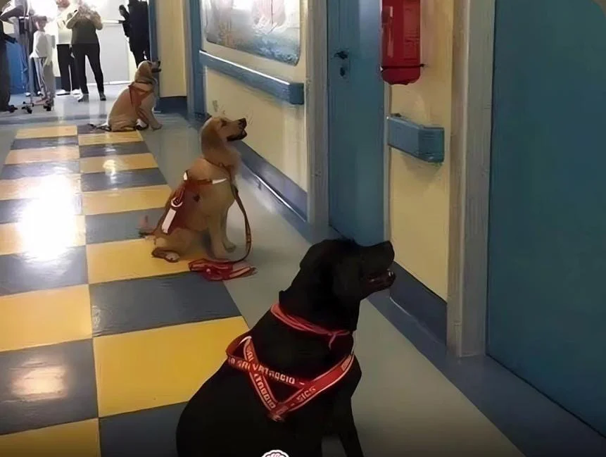 WhatsApp Image 2026-03-24 at 16.05.30