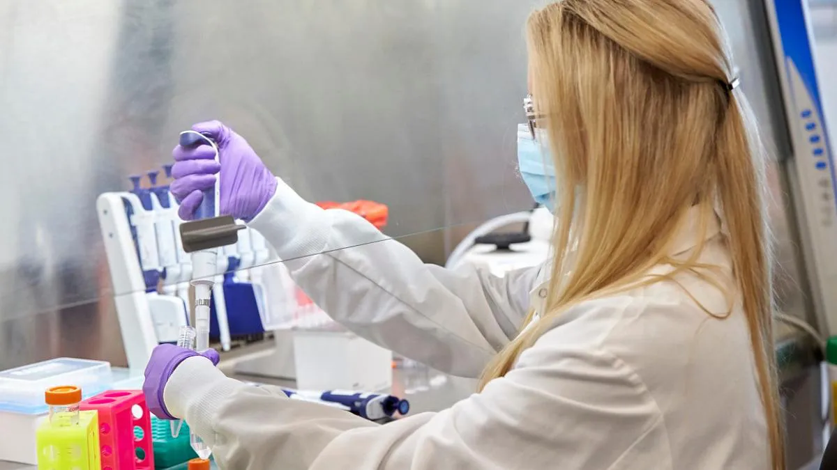 WhatsApp Image 2026-01-20 at 15.39.35