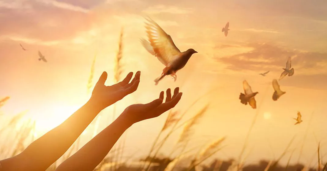 facebook-paz-interior-tranquilidad-poder-personal-identidad-1068x559