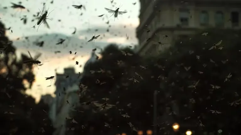 imagen_2024-04-12_110121912