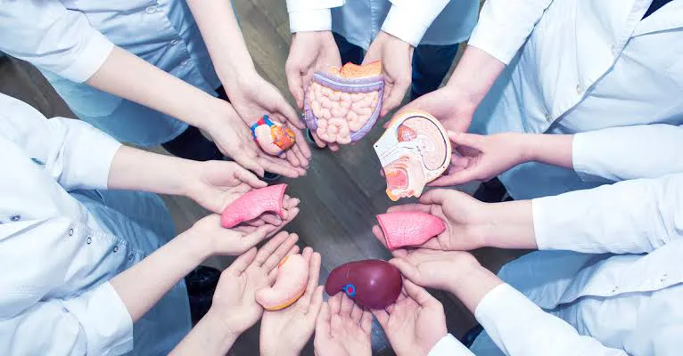 WhatsApp Image 2025-10-14 at 06.03.34