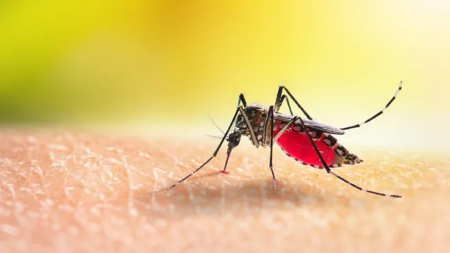 vacuna-dengue-brasiljpg