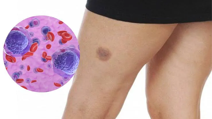 33c7342f-ce28-437d-9f3c-61ab4fa5f6f7