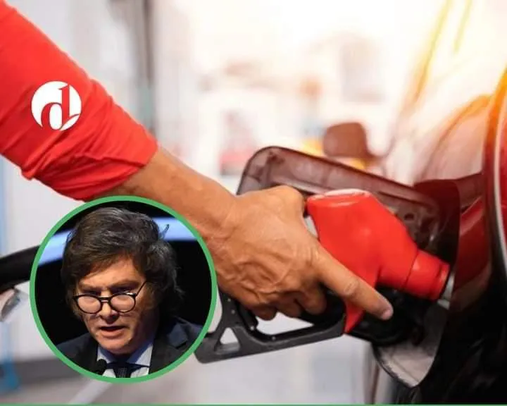 WhatsApp Image 2024-03-31 at 03.10.06