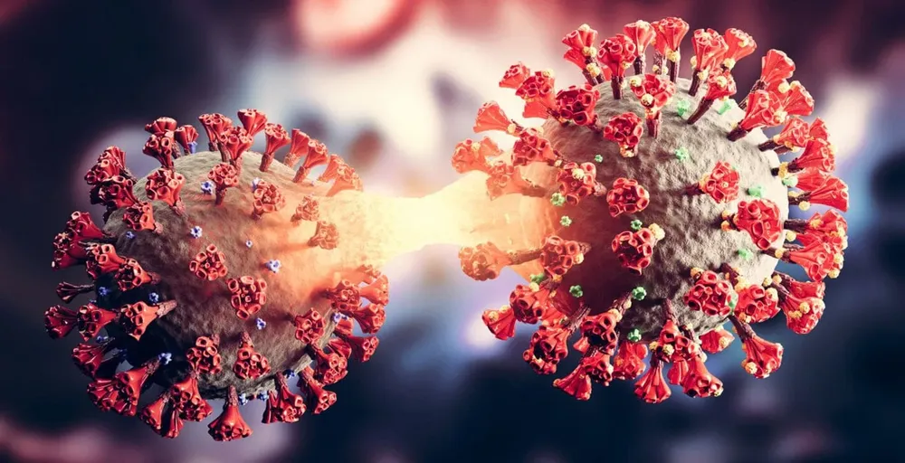 WhatsApp Image 2025-02-22 at 07.56.33