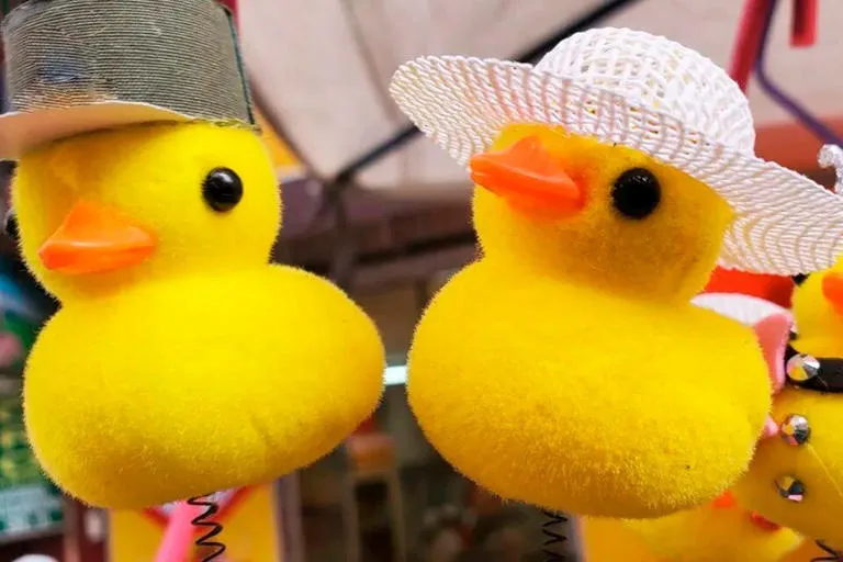 WhatsApp Image 2024-05-25 at 16.28.49