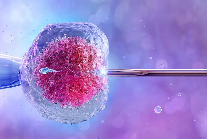 WhatsApp Image 2025-10-31 at 17.30.26