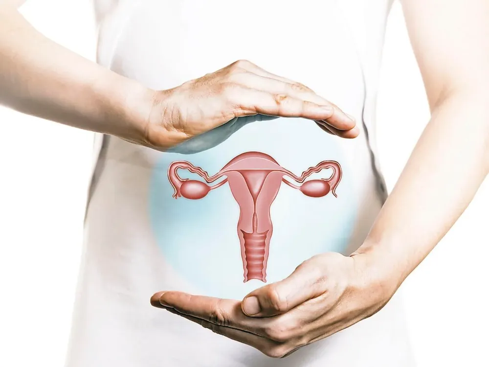 WhatsApp Image 2026-03-27 at 00.09.36