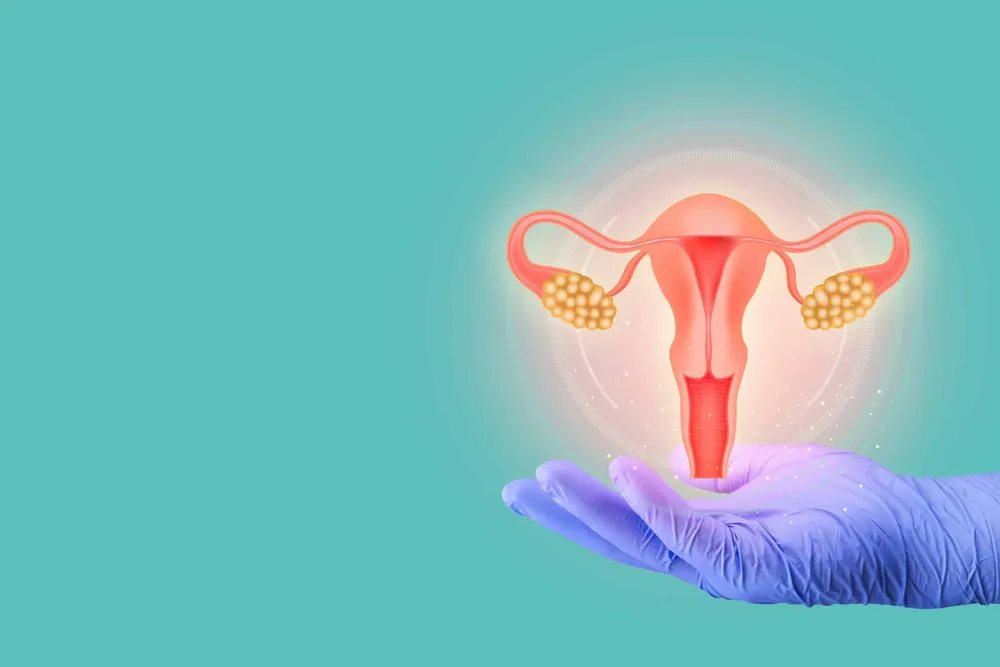 WhatsApp Image 2024-07-21 at 03.53.01