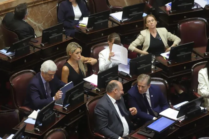 WhatsApp Image 2026-02-12 at 04.04.14