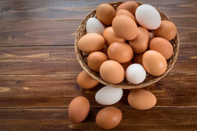 WhatsApp Image 2026-01-21 at 00.41.58