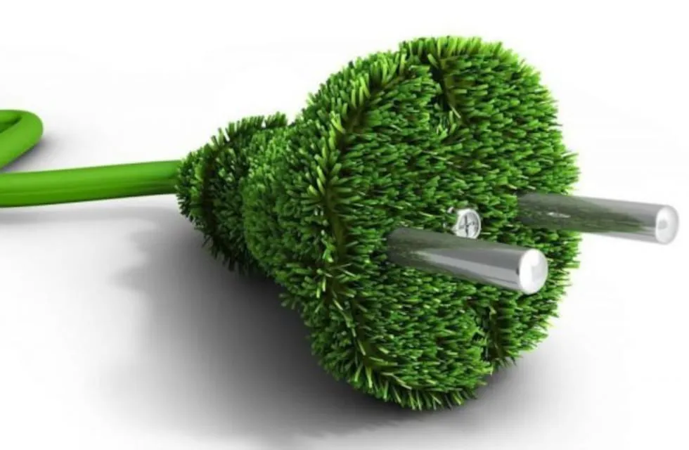 WhatsApp Image 2024-10-22 at 03.25.28