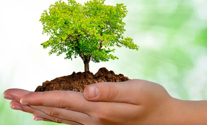 WhatsApp Image 2024-08-29 at 14.51.02