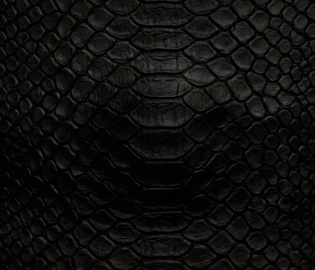 0409457001779856442