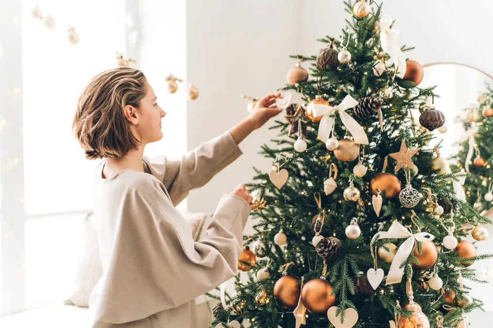 WhatsApp Image 2023-12-08 at 18.33.47