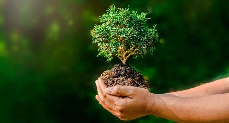 WhatsApp Image 2024-08-29 at 14.51.03