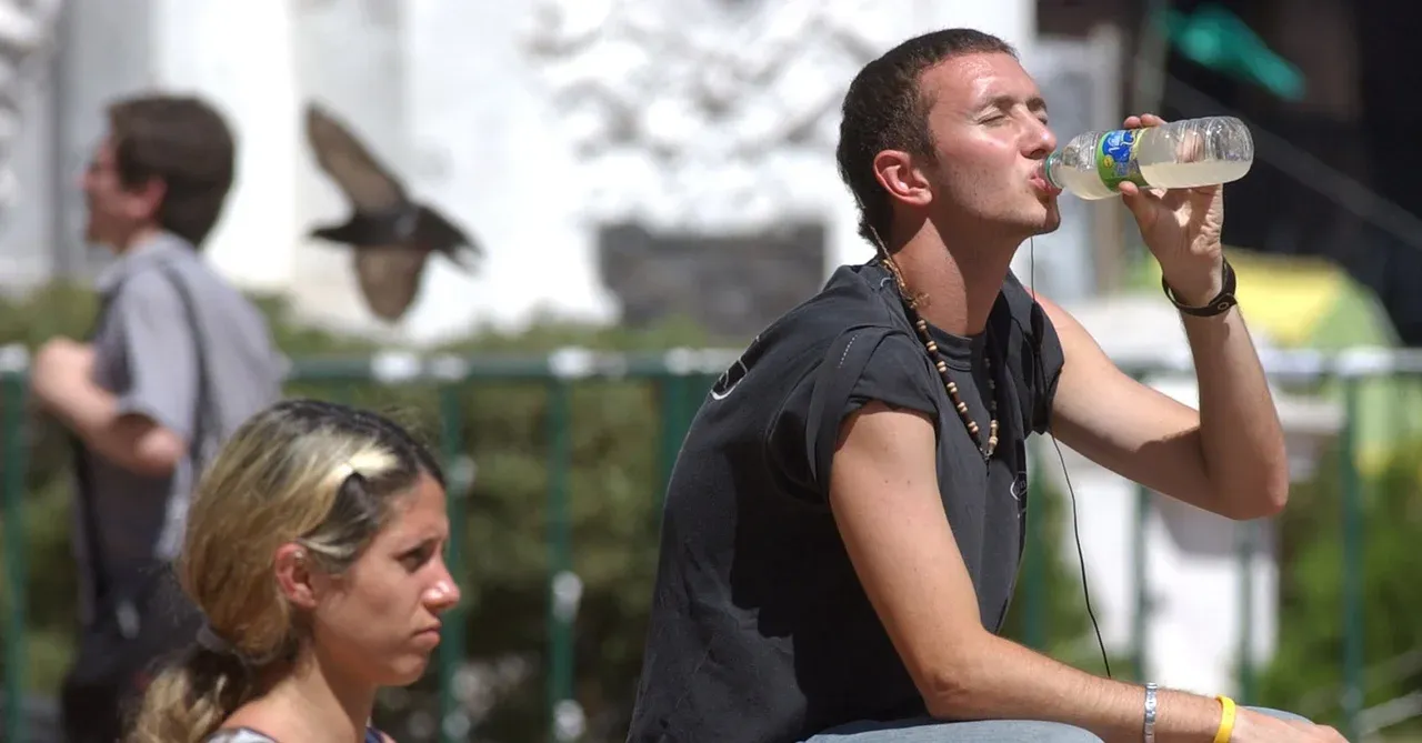 imagen_2025-12-27_181406628